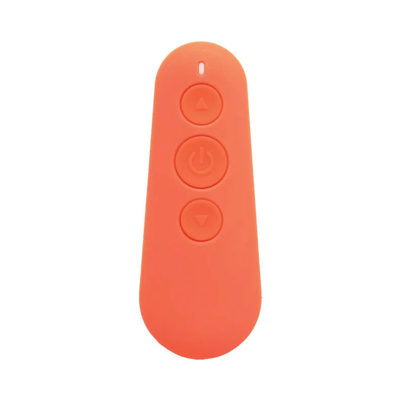 Mood Play Vibrating Egg with Remote