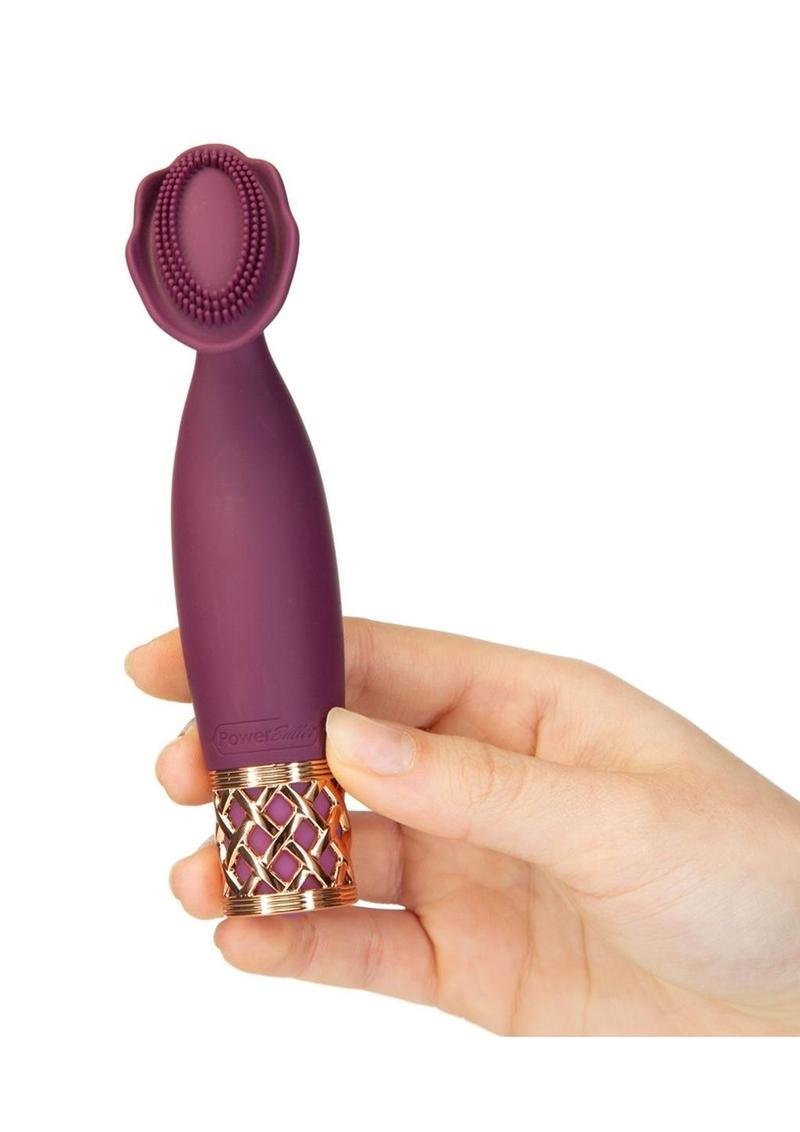 Pillow Talk Secrets Passion Mini Massager