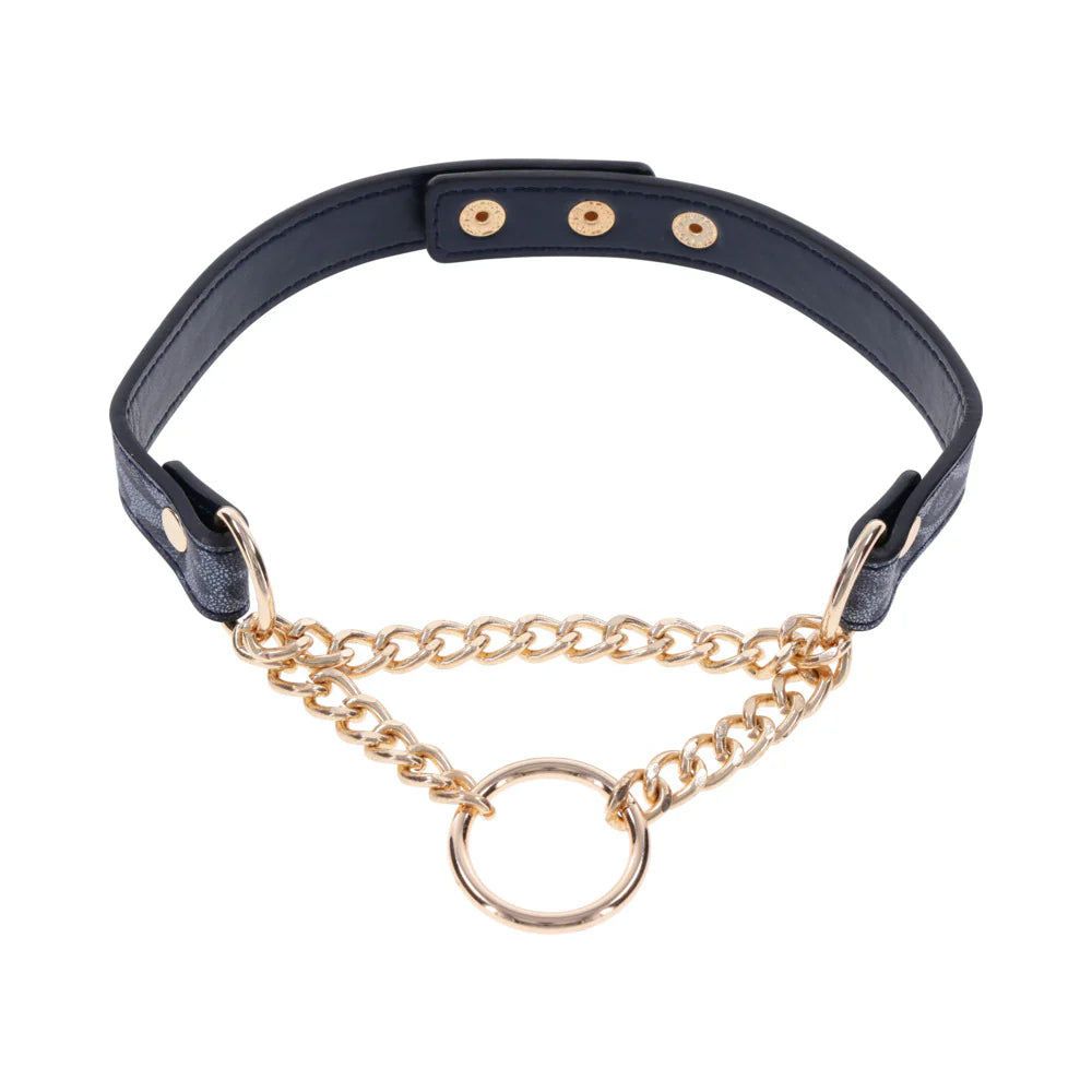 Sex & Mischief Cougar Day Collar – Navy/Gold Faux Leather BDSM Collar with Gold Ring