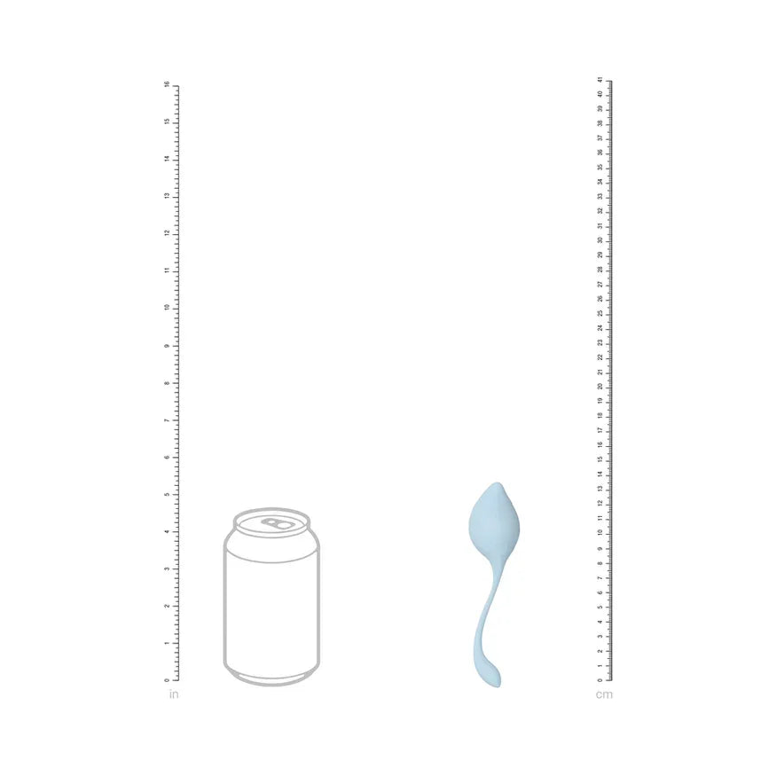 Loveline PelvFit Multiweight Stem Kegel Kit (5 Piece)