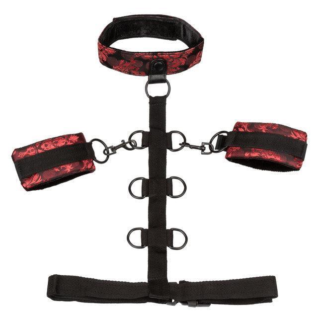 Calexotics Scandal® Collar Body Restraint - Buy At Luxury Toy X - Free 3-Day Shipping