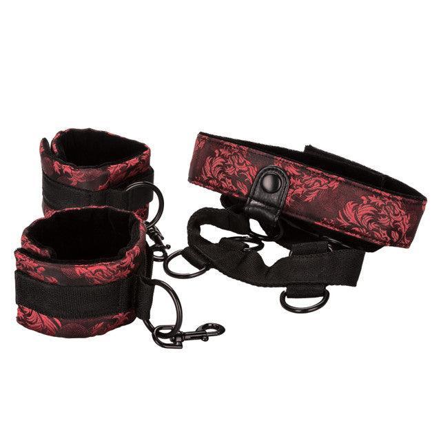 Calexotics Scandal® Collar Body Restraint - Buy At Luxury Toy X - Free 3-Day Shipping