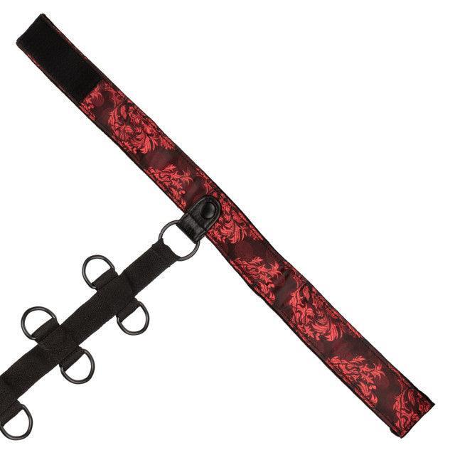 Calexotics Scandal® Collar Body Restraint - Buy At Luxury Toy X - Free 3-Day Shipping