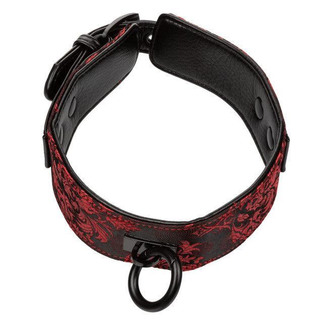 Calexotics Scandal® Collar with Leash - Buy At Luxury Toy X - Free 3-Day Shipping
