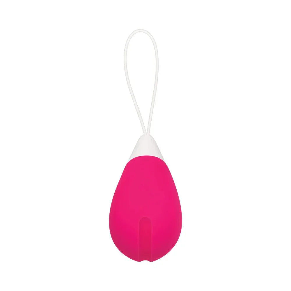 Evolved Rechargeable Remote-Controlled Silicone Egg Vibrator - Buy At Luxury Toy X - Free 3-Day Shipping
