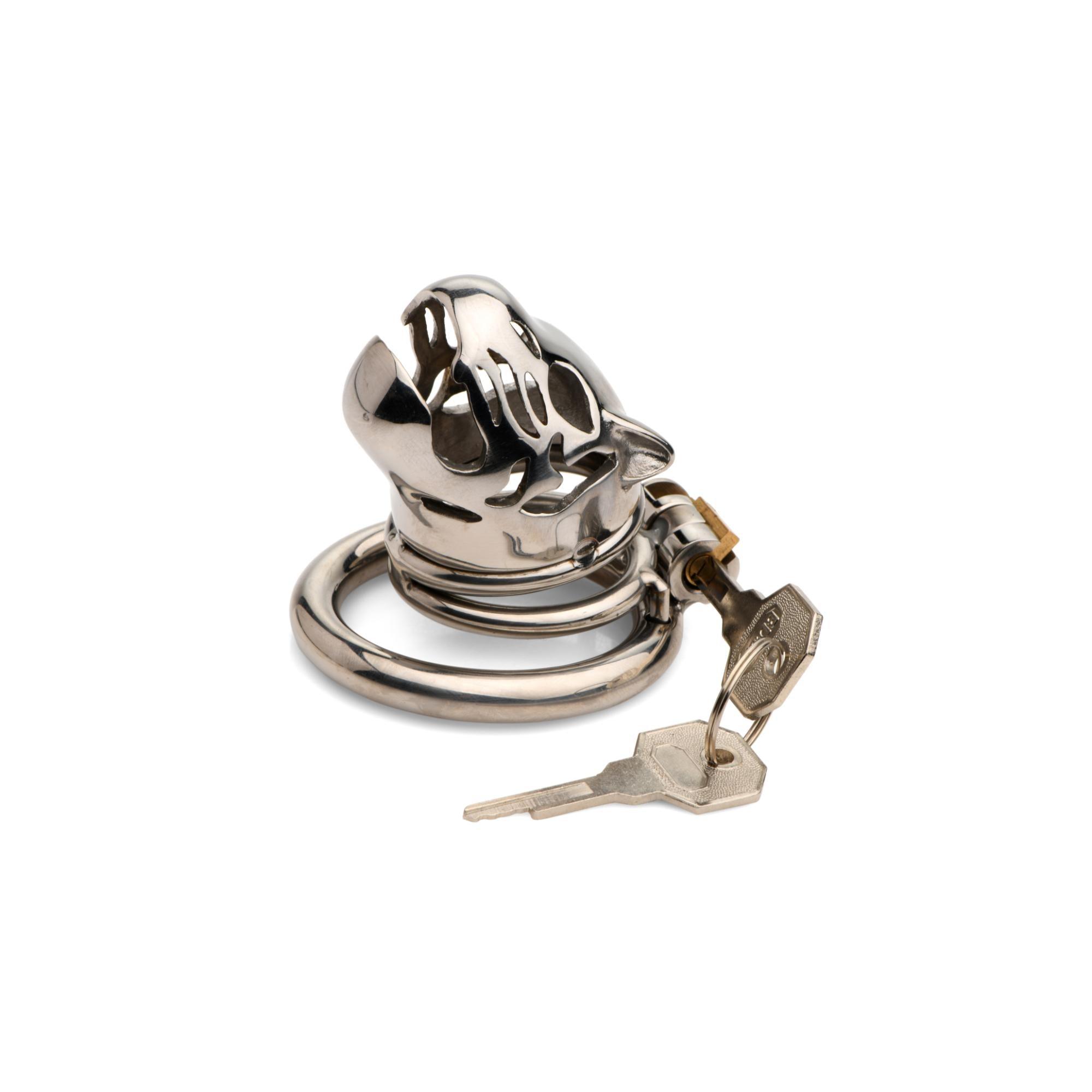 Master Series Caged Cougar Stainless Steel Locking Chastity Cage - Buy At Luxury Toy X - Free 3-Day Shipping
