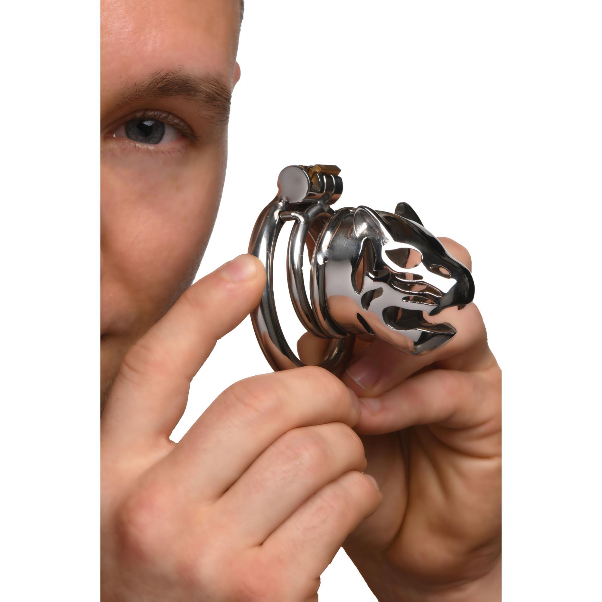 Master Series Caged Cougar Stainless Steel Locking Chastity Cage - Buy At Luxury Toy X - Free 3-Day Shipping