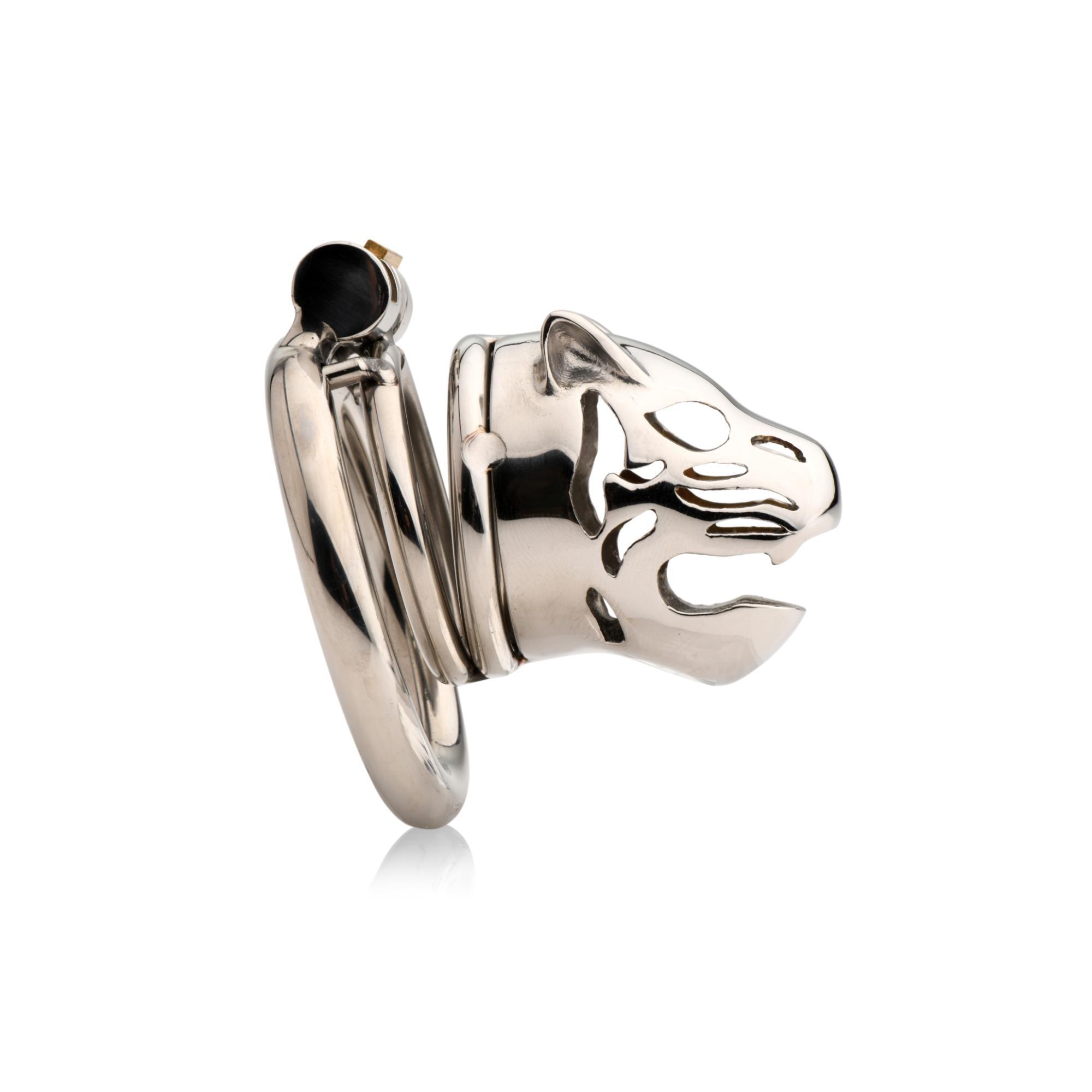 Master Series Caged Cougar Stainless Steel Locking Chastity Cage - Buy At Luxury Toy X - Free 3-Day Shipping