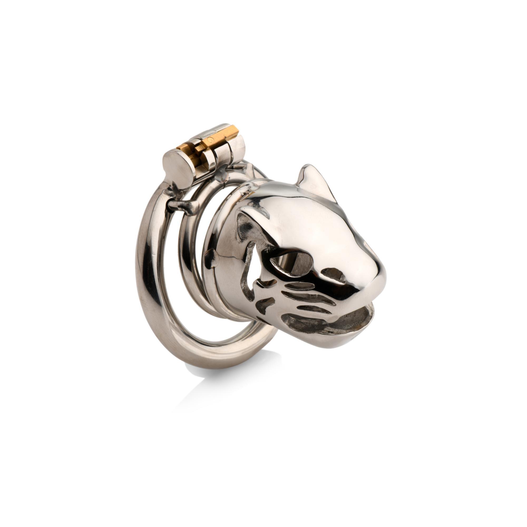 Master Series Caged Cougar Stainless Steel Locking Chastity Cage - Buy At Luxury Toy X - Free 3-Day Shipping