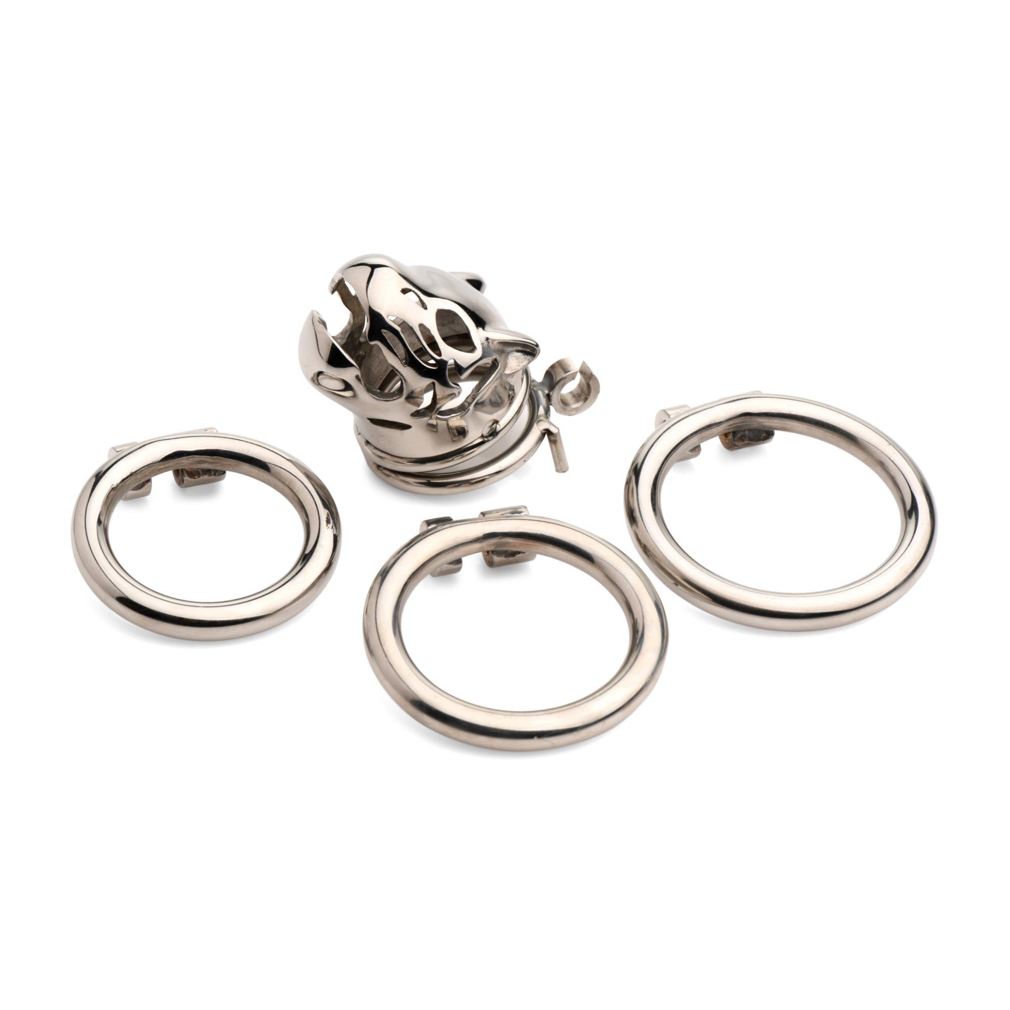 Master Series Caged Cougar Stainless Steel Locking Chastity Cage - Buy At Luxury Toy X - Free 3-Day Shipping