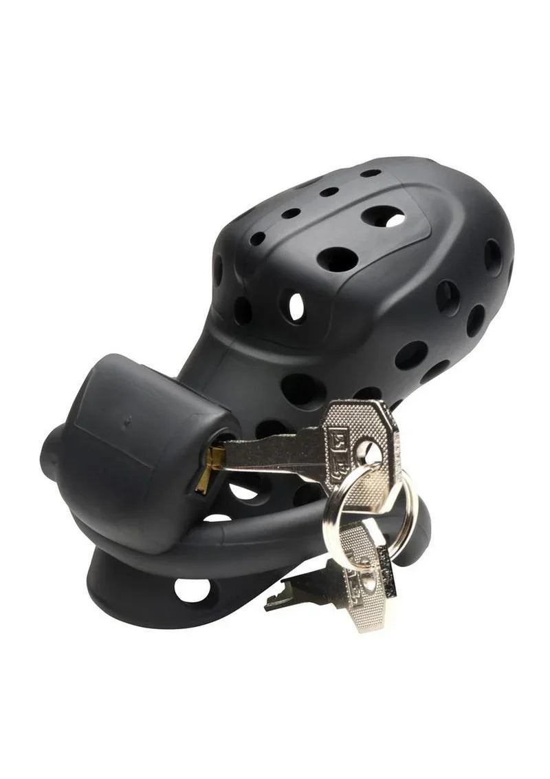 Master Series Lock Down Chastity Cage - Buy At Luxury Toy X - Free 3-Day Shipping