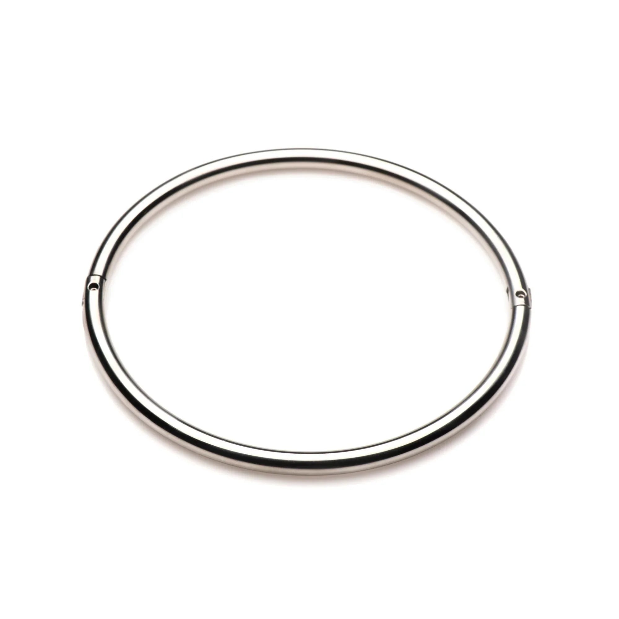 Master Series Possession Stainless Steel Locking Collar - Buy At Luxury Toy X - Free 3-Day Shipping