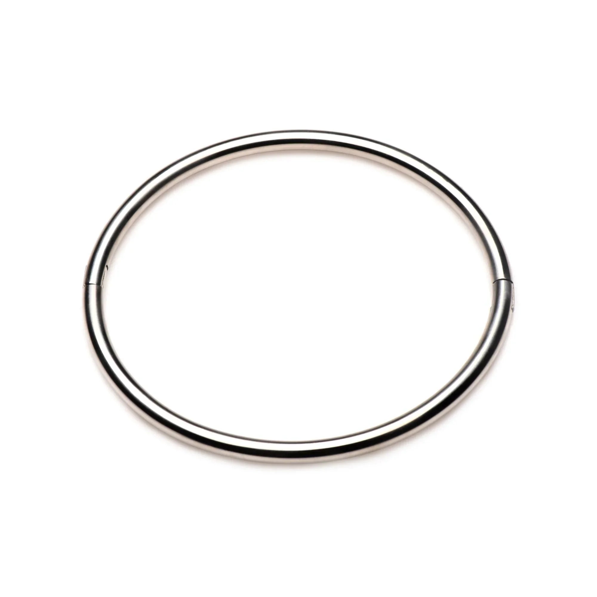Master Series Possession Stainless Steel Locking Collar - Buy At Luxury Toy X - Free 3-Day Shipping