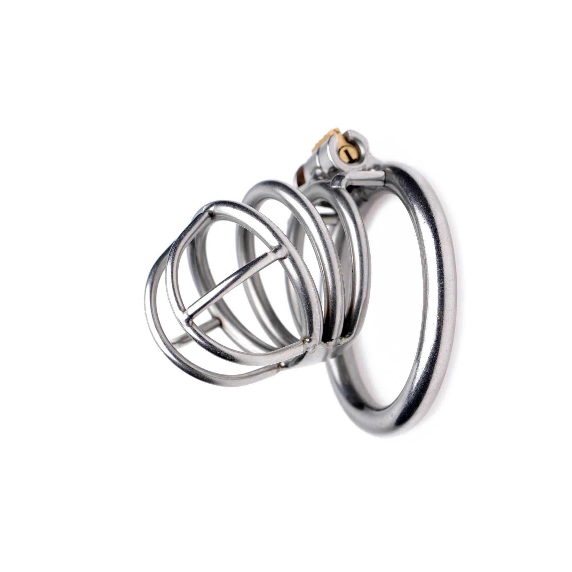 Master Series The Pen Deluxe Locking Chastity Cage - Buy At Luxury Toy X - Free 3-Day Shipping