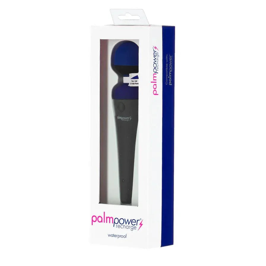 PalmPower Recharge Massager - Buy At Luxury Toy X - Free 3-Day Shipping