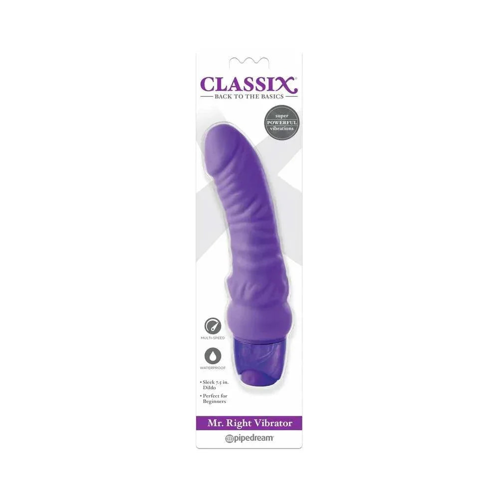 Pipedream Classix Mr. Right Vibrator Realistic 6.5 in. Vibrating Dildo - Buy At Luxury Toy X - Free 3-Day Shipping