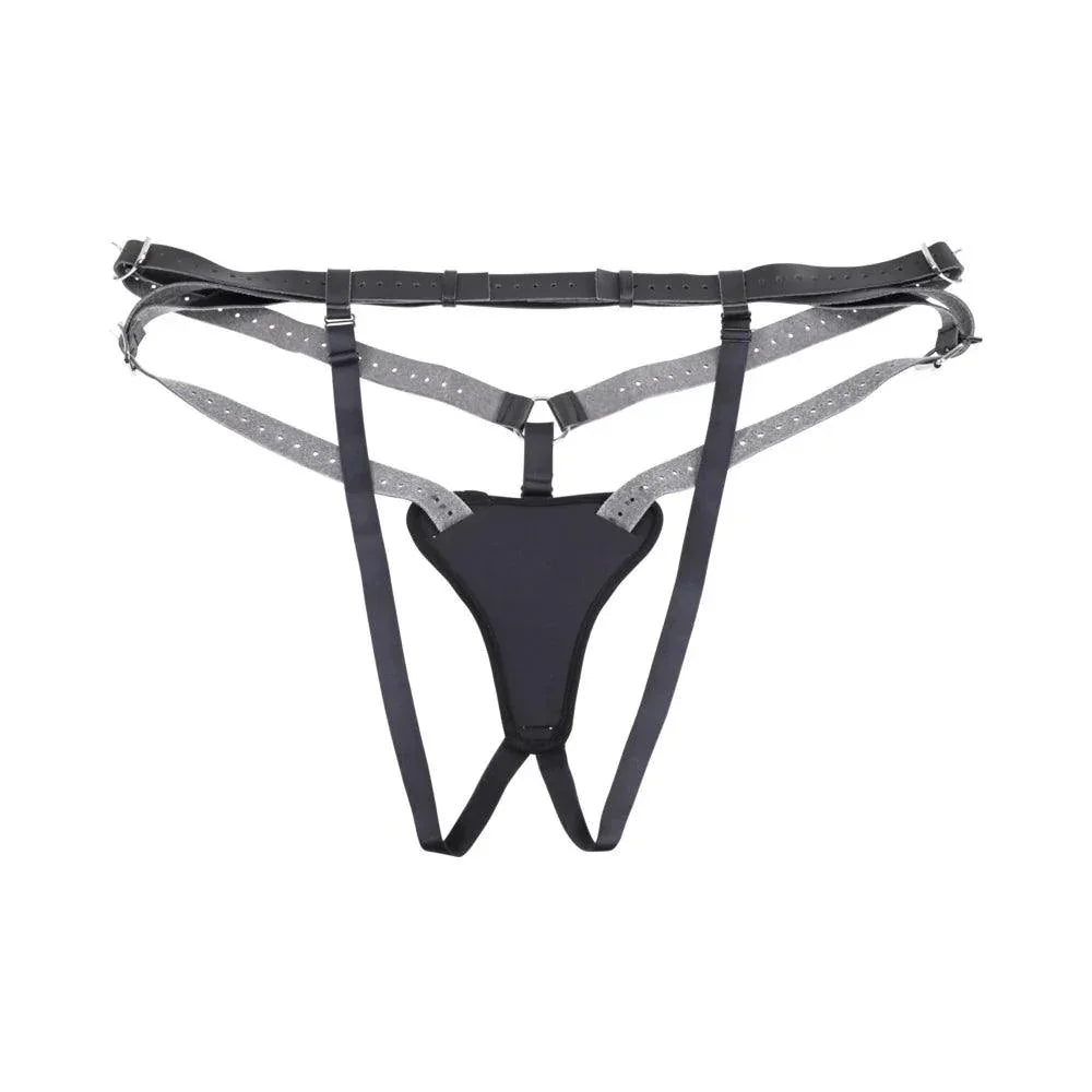 Sportsheets Aurora High Waisted Strap On - Buy At Luxury Toy X - Free 3-Day Shipping