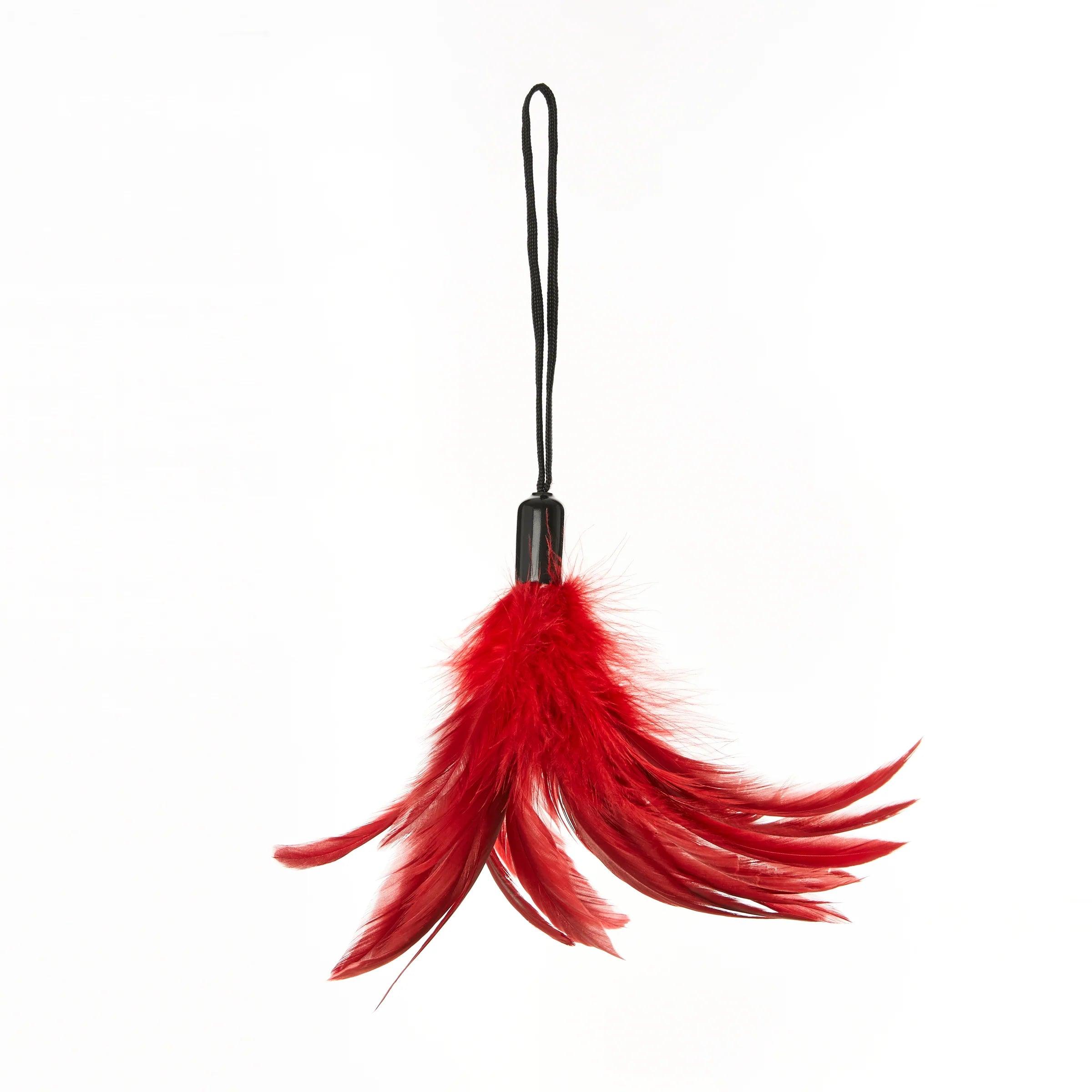 Sportsheets Pleasure Feather - Buy At Luxury Toy X - Free 3-Day Shipping