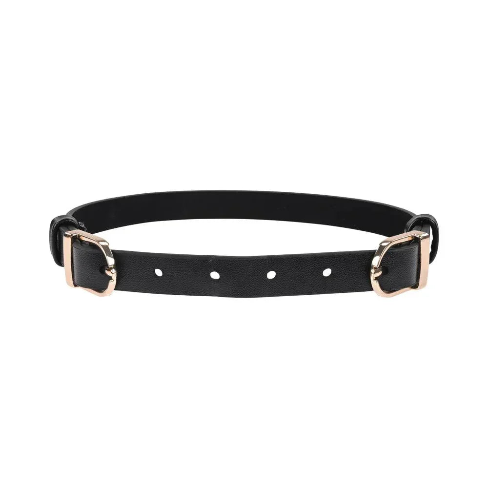 Sportsheets Sex & Mischief Double Buckle Day Collar - Buy At Luxury Toy X - Free 3-Day Shipping