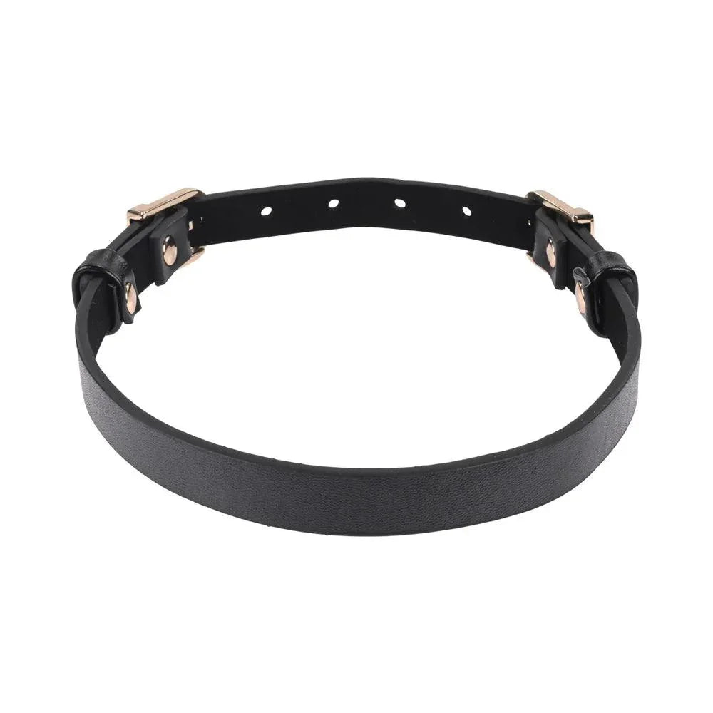 Sportsheets Sex & Mischief Double Buckle Day Collar - Buy At Luxury Toy X - Free 3-Day Shipping