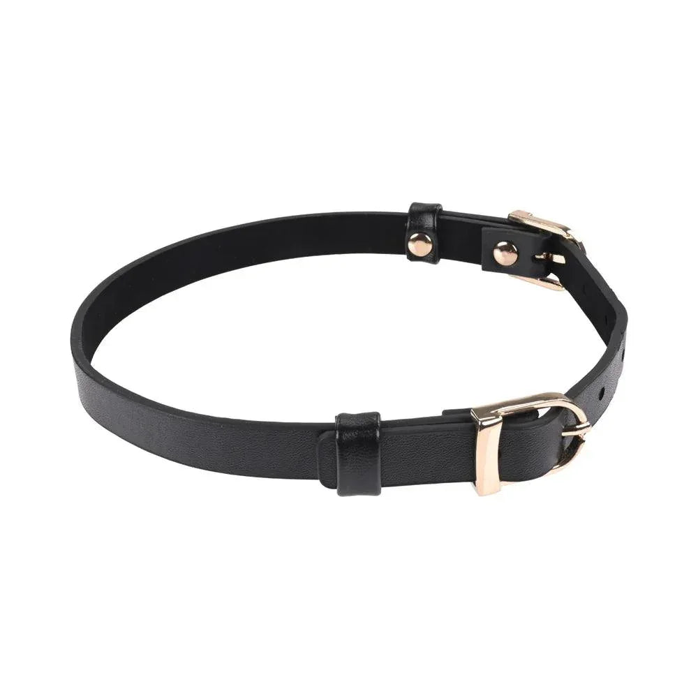 Sportsheets Sex & Mischief Double Buckle Day Collar - Buy At Luxury Toy X - Free 3-Day Shipping