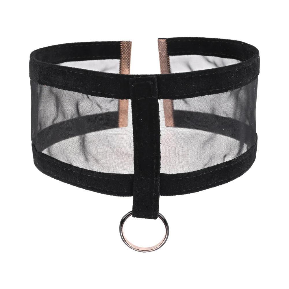 Sportsheets Sex & Mischief Sheer Day Collar - Buy At Luxury Toy X - Free 3-Day Shipping