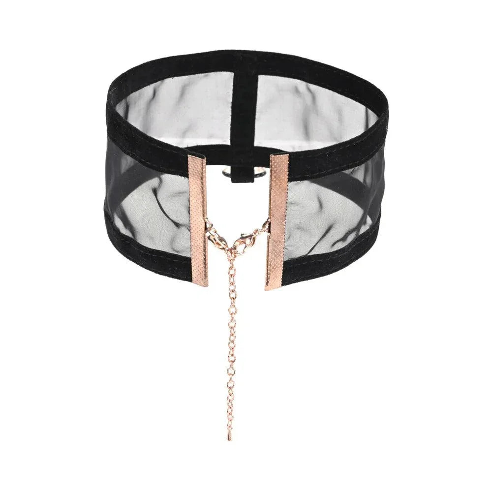 Sportsheets Sex & Mischief Sheer Day Collar - Buy At Luxury Toy X - Free 3-Day Shipping
