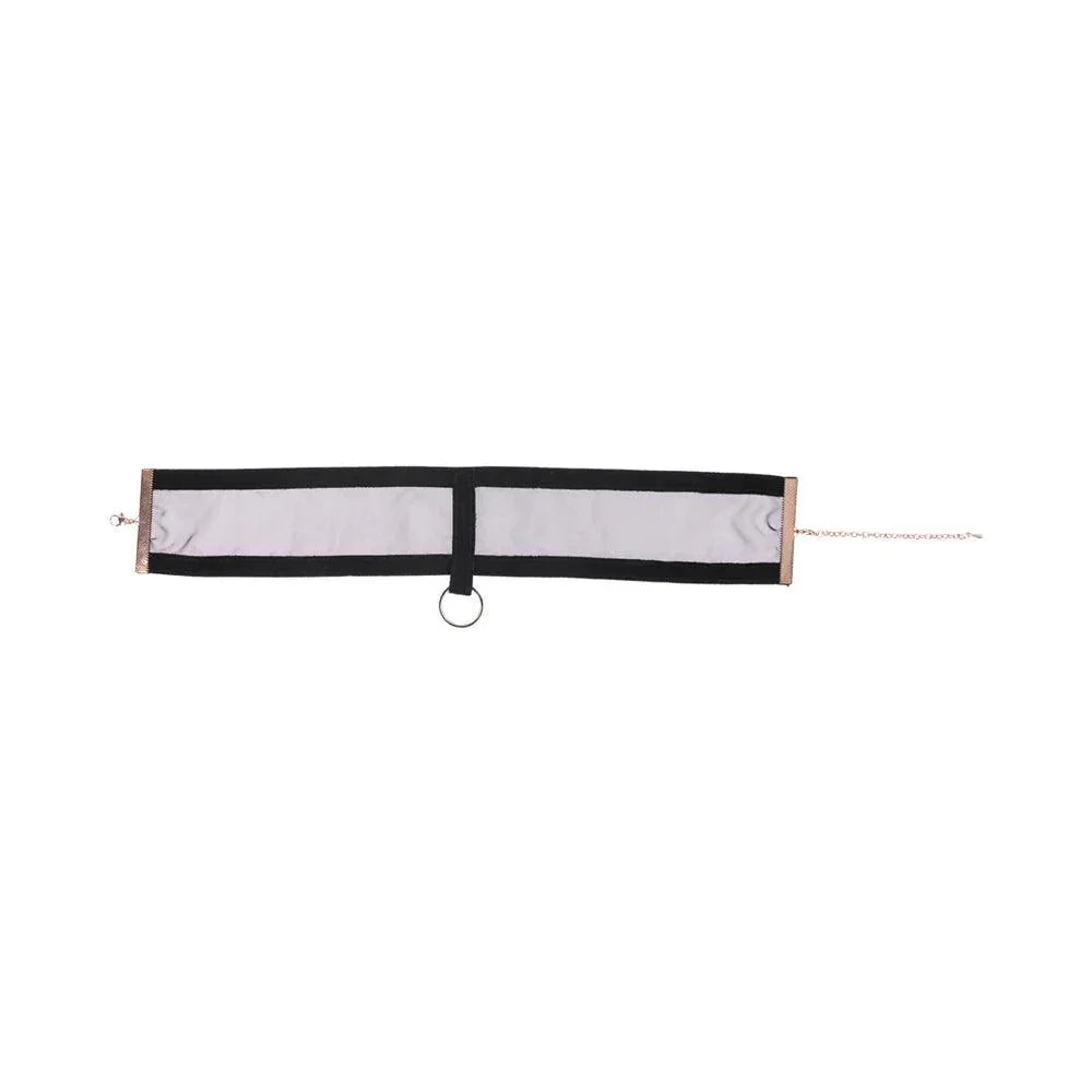 Sportsheets Sex & Mischief Sheer Day Collar - Buy At Luxury Toy X - Free 3-Day Shipping