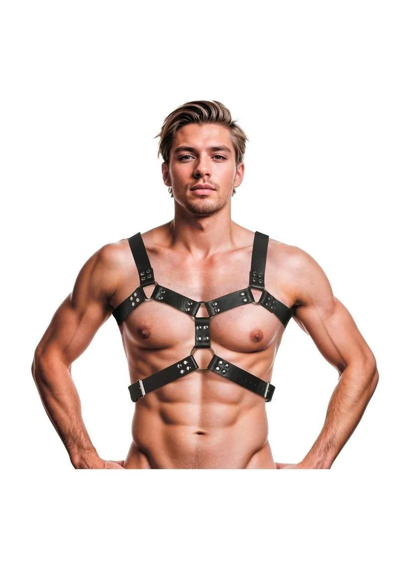 Strict 6 O-Ring Chest Harness - Buy At Luxury Toy X - Free 3-Day Shipping
