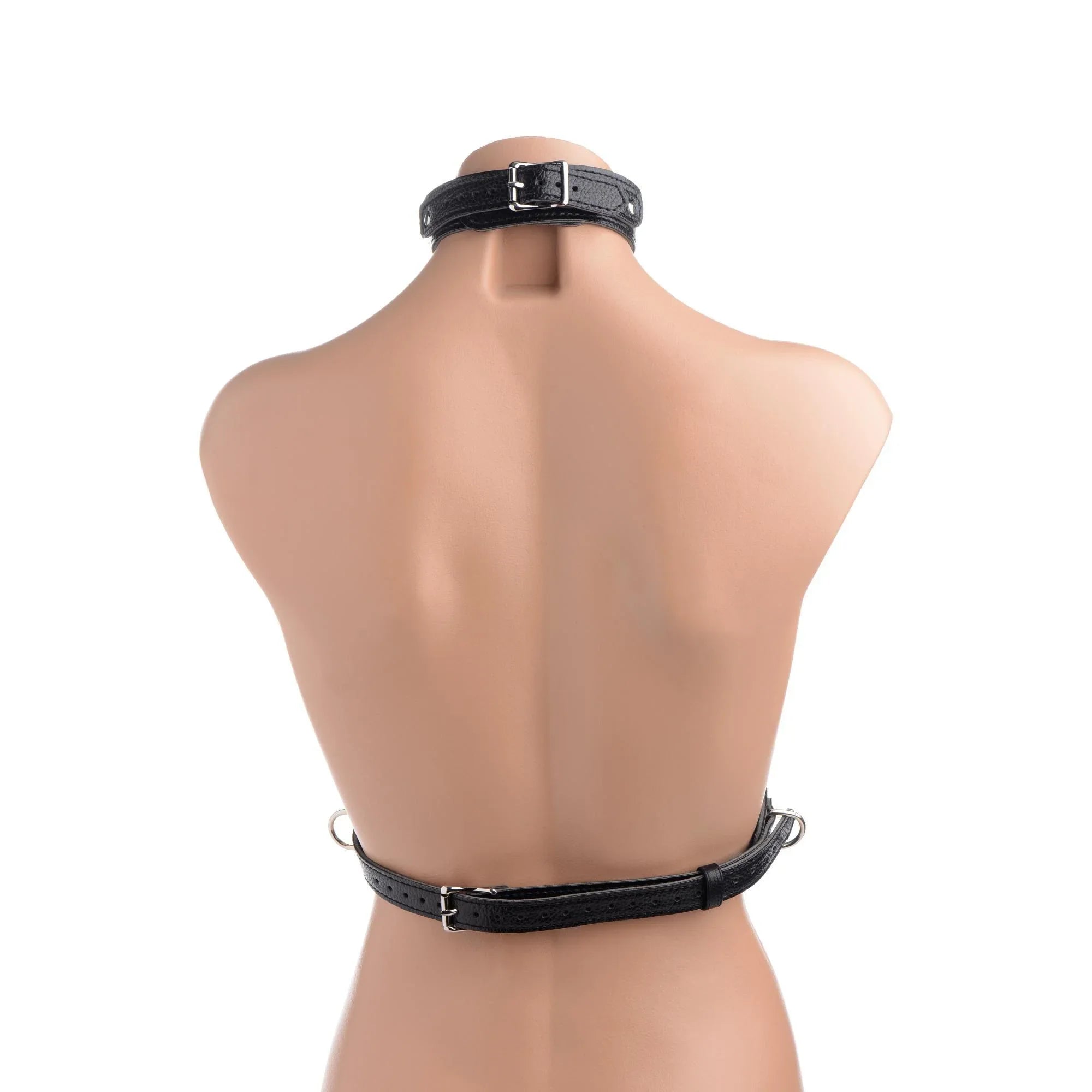 STRICT Female Chest Harness - Buy At Luxury Toy X - Free 3-Day Shipping