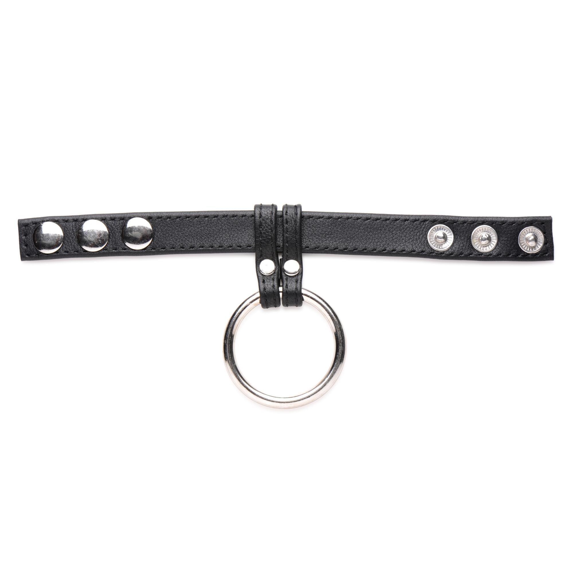 Strict Leather Cock Gear Leather and Steel Cock & Ball Ring - Buy At Luxury Toy X - Free 3-Day Shipping