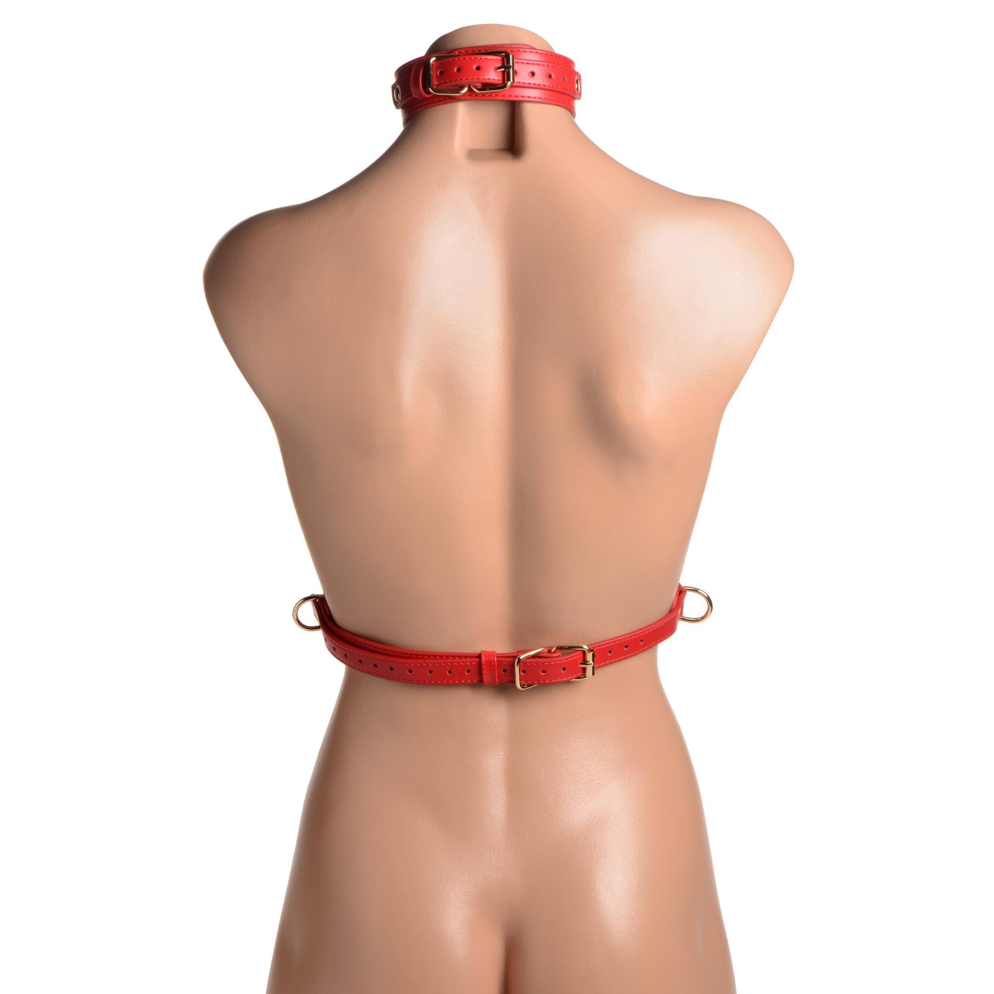 STRICT Red Female Chest Harness - Buy At Luxury Toy X - Free 3-Day Shipping