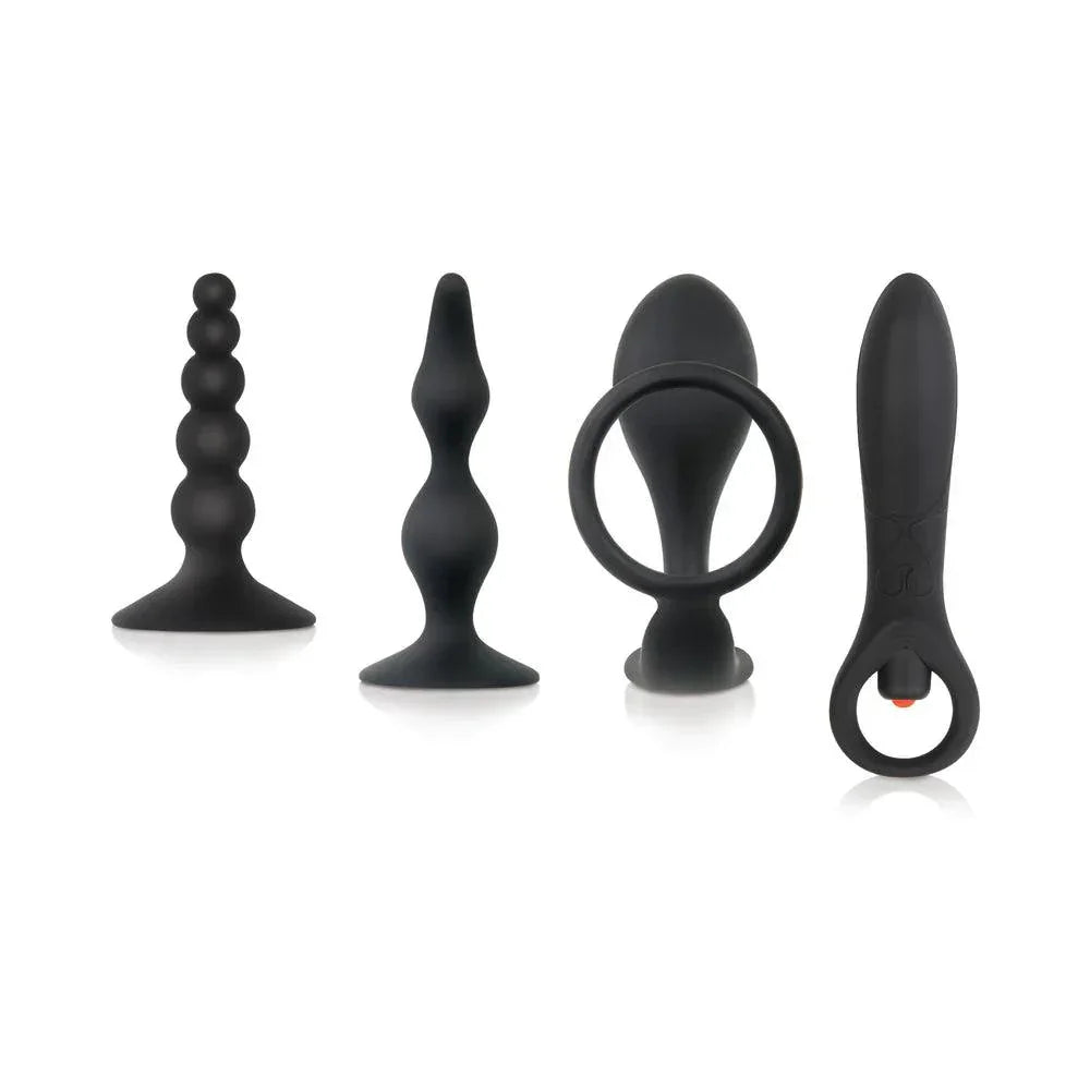 Zero Tolerance Intro To Prostate Kit 4-Piece Anal Play Set With DVD - Buy At Luxury Toy X - Free 3-Day Shipping