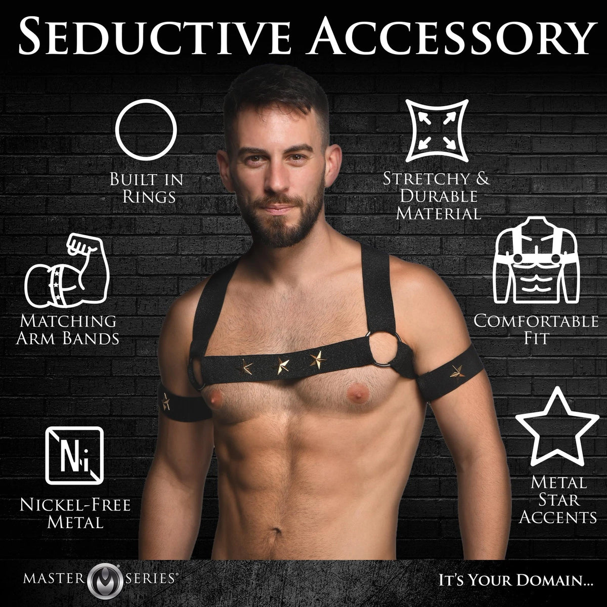 Master Series Rave Chest Harness & Armbands L/XL