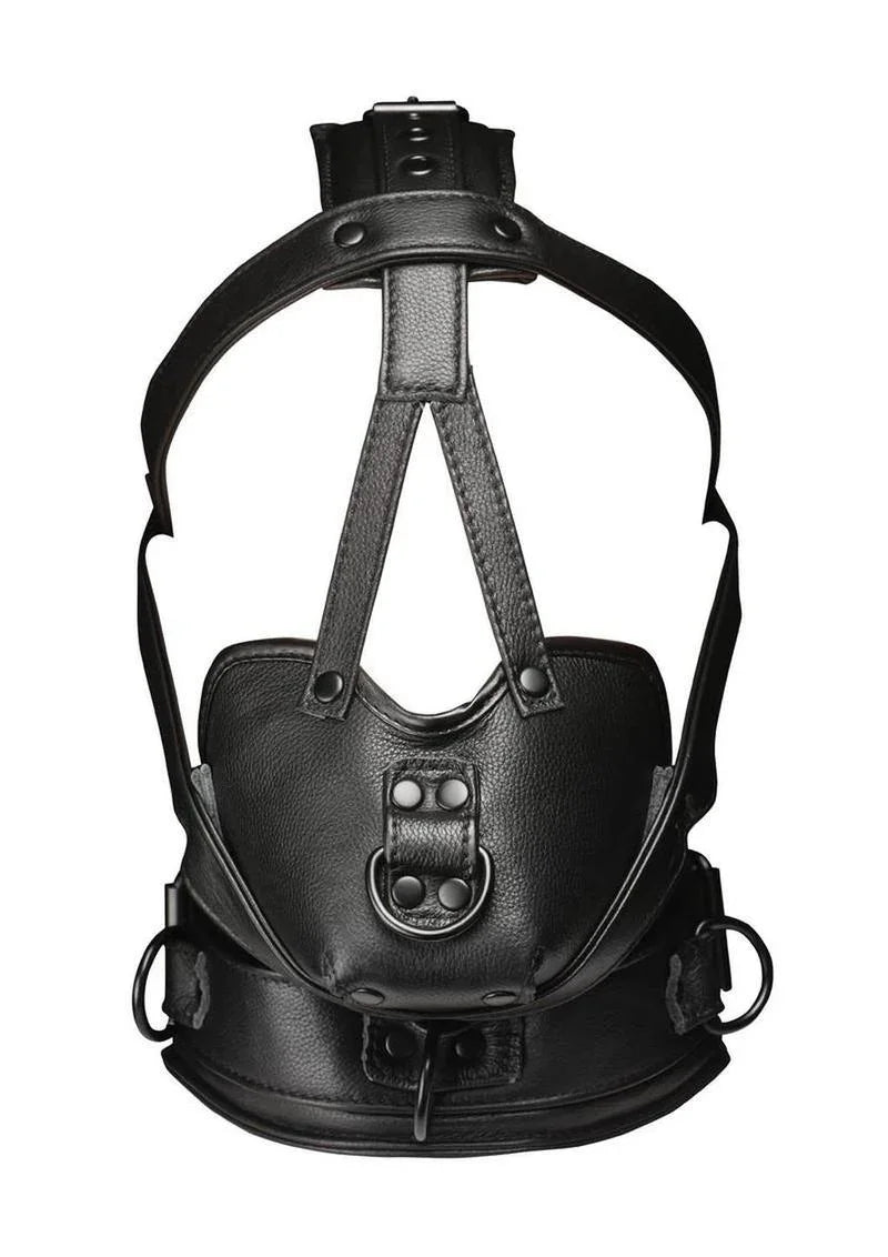 Master Series Leather Head Harness with Muzzle