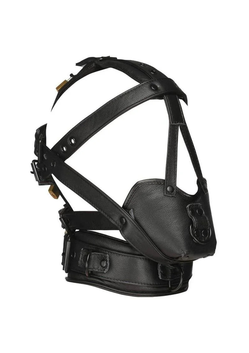 Master Series Lockable Head Harness with Muzzle