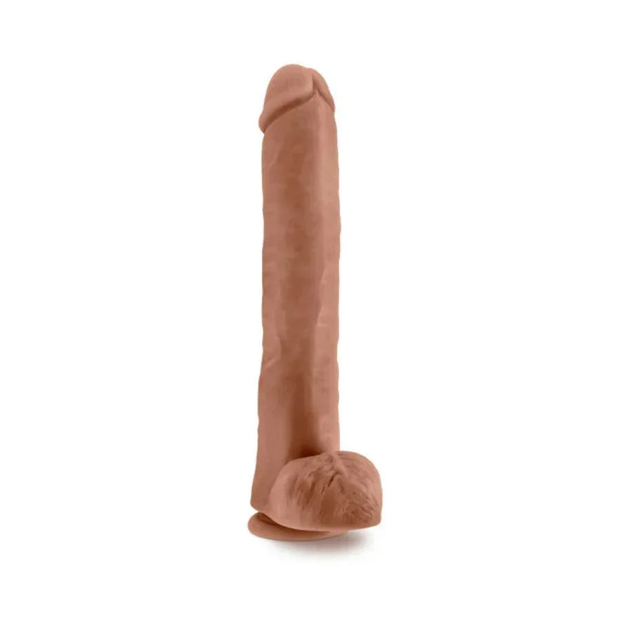 Blush Au Naturel Daddy 14 in. Posable Dual Density Dildo with Balls & Suction Cup - Buy At Luxury Toy X - Free 3-Day Shipping