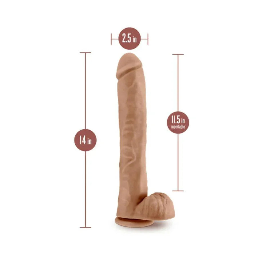Blush Au Naturel Daddy 14 in. Posable Dual Density Dildo with Balls & Suction Cup - Buy At Luxury Toy X - Free 3-Day Shipping