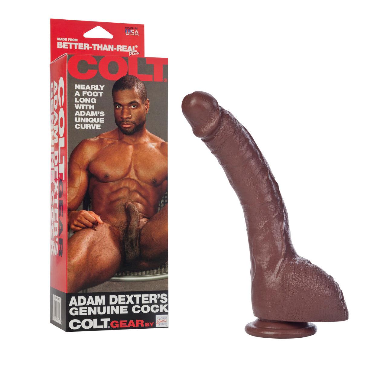 CalExotics COLT Adam Dexters Genuine Cock Dildo - Chocolate - Buy At Luxury Toy X - Free 3-Day Shipping