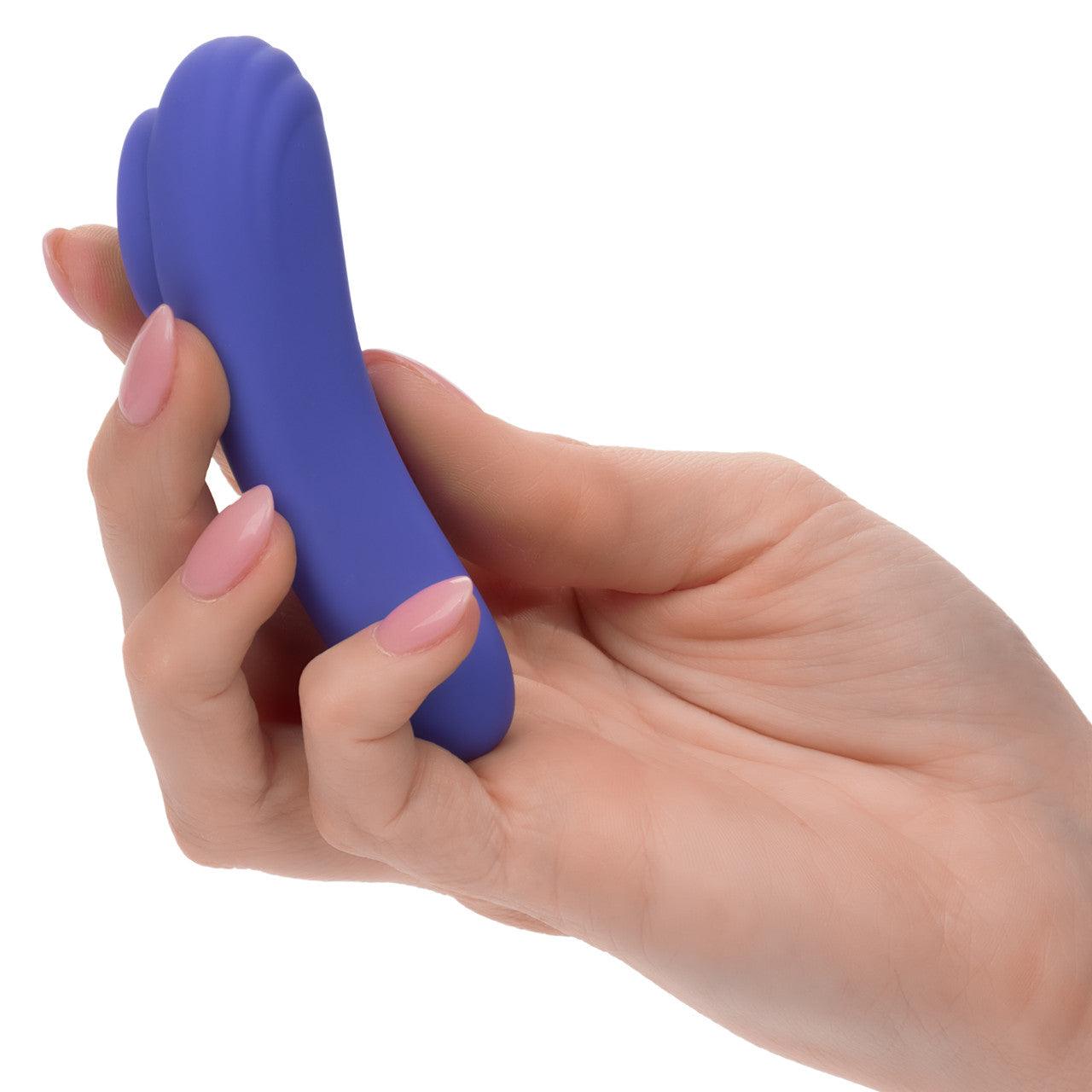 CalExotics Connect Panty Teaser Rechargeable Silicone App Compatible Vibrator with Remote - Buy At Luxury Toy X - Free 3-Day Shipping
