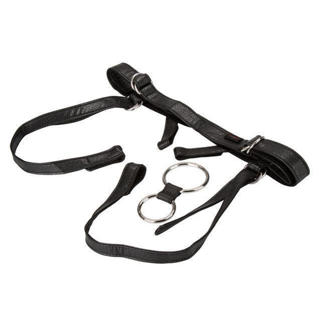 Calexotics Her Royal Harness The Duchess Adjustable Harness - - Buy At Luxury Toy X - Free 3-Day Shipping