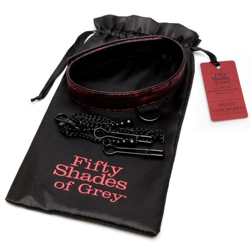 Fifty Shades of Grey Sweet Anticipation Reversible Collar, Nipple Clamps - Buy At Luxury Toy X - Free 3-Day Shipping