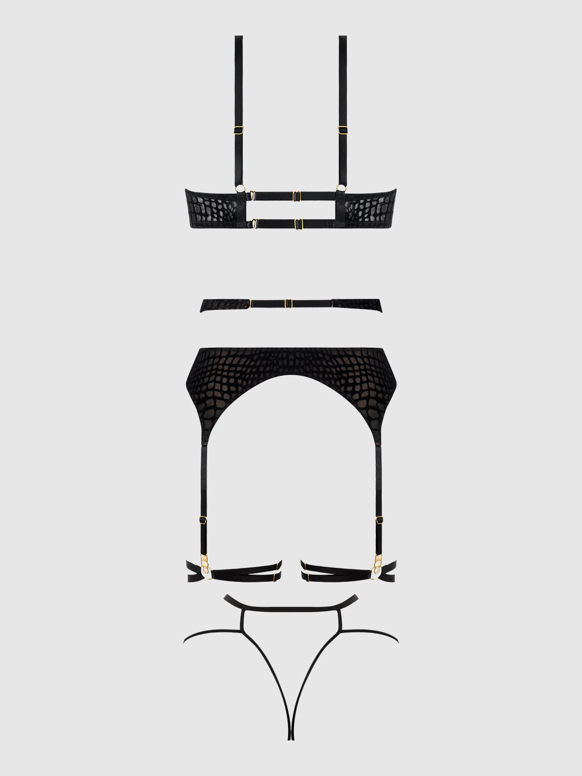 House of Desire Snake Velvet-Burnout Mesh Bra, Garter, & Backless Hipster Set - Black - product view
