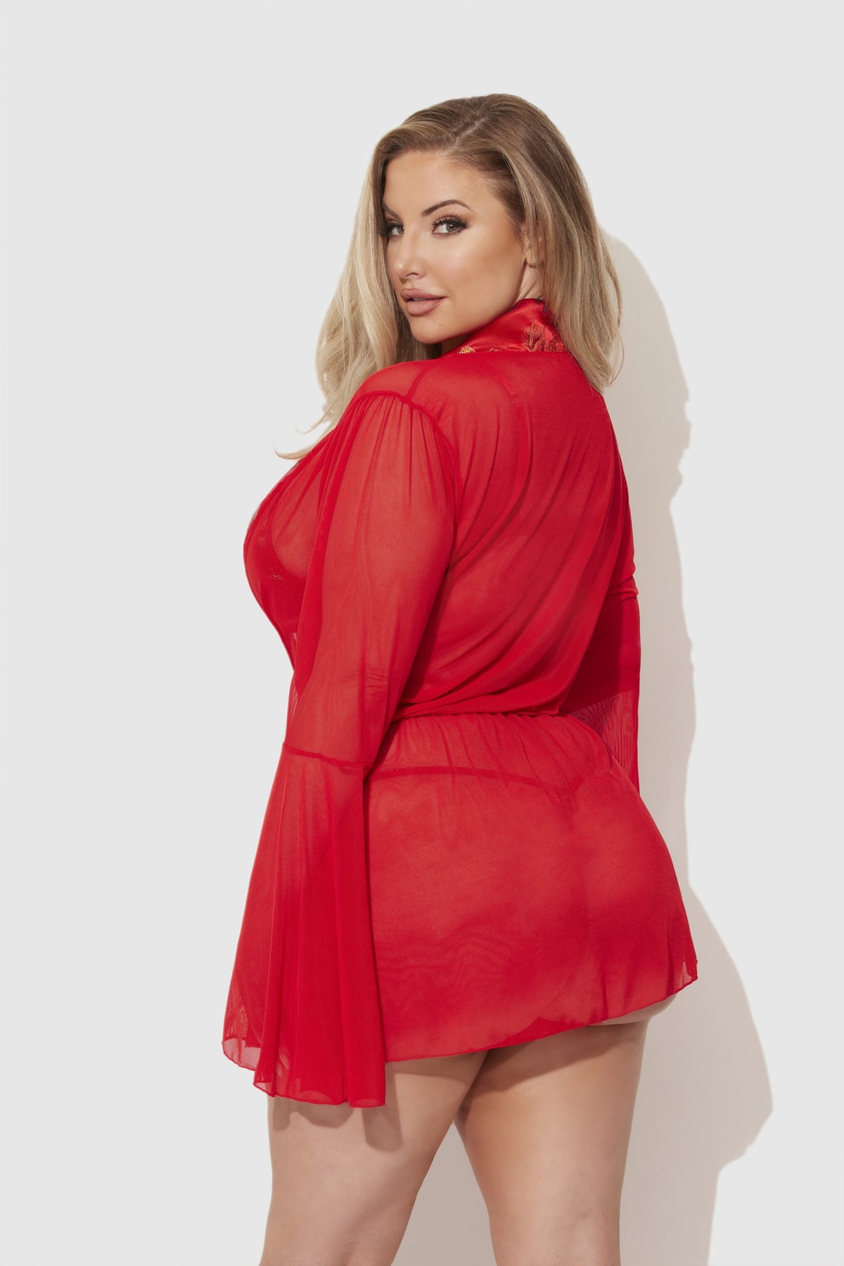 House of Desire Dragon Sheer Robe with Satin Bra & G-String Set - Red - product view 3