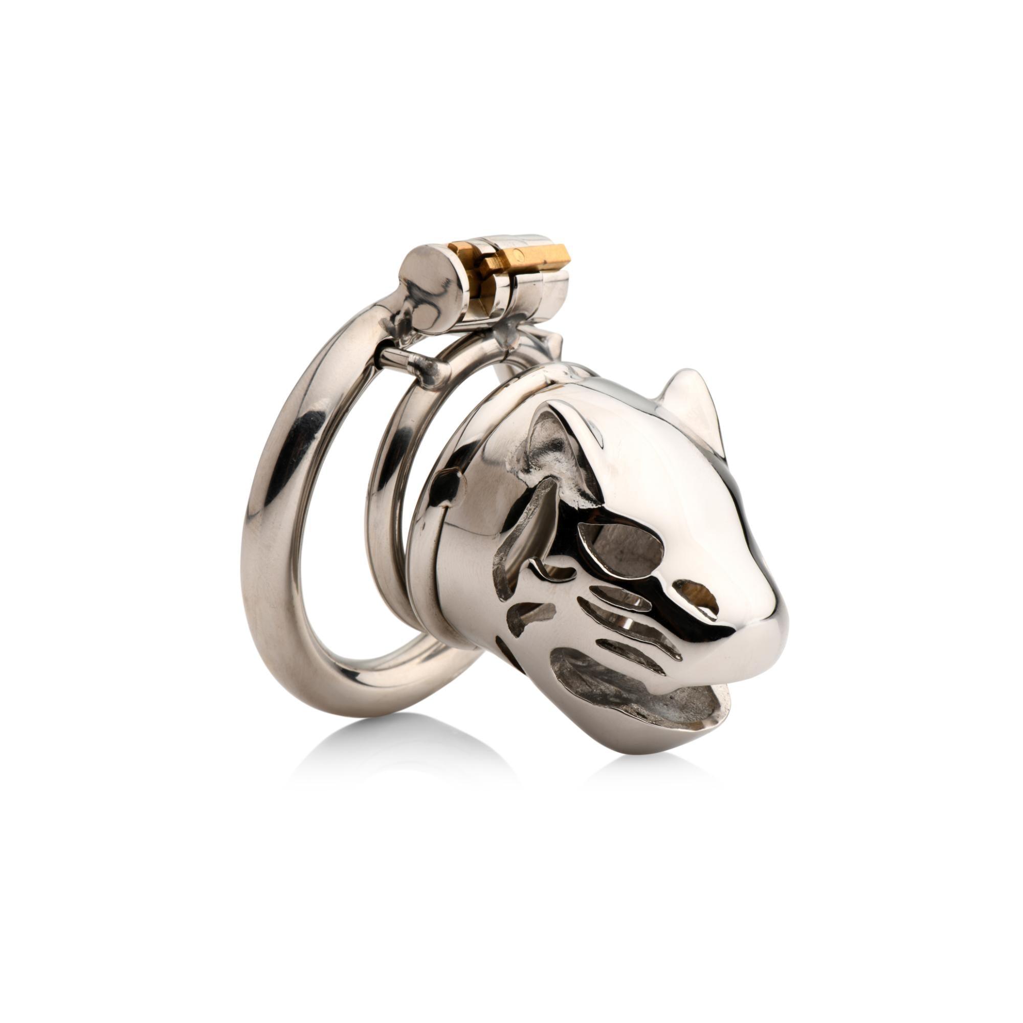 Master Series Caged Cougar Stainless Steel Locking Chastity Cage - Buy At Luxury Toy X - Free 3-Day Shipping