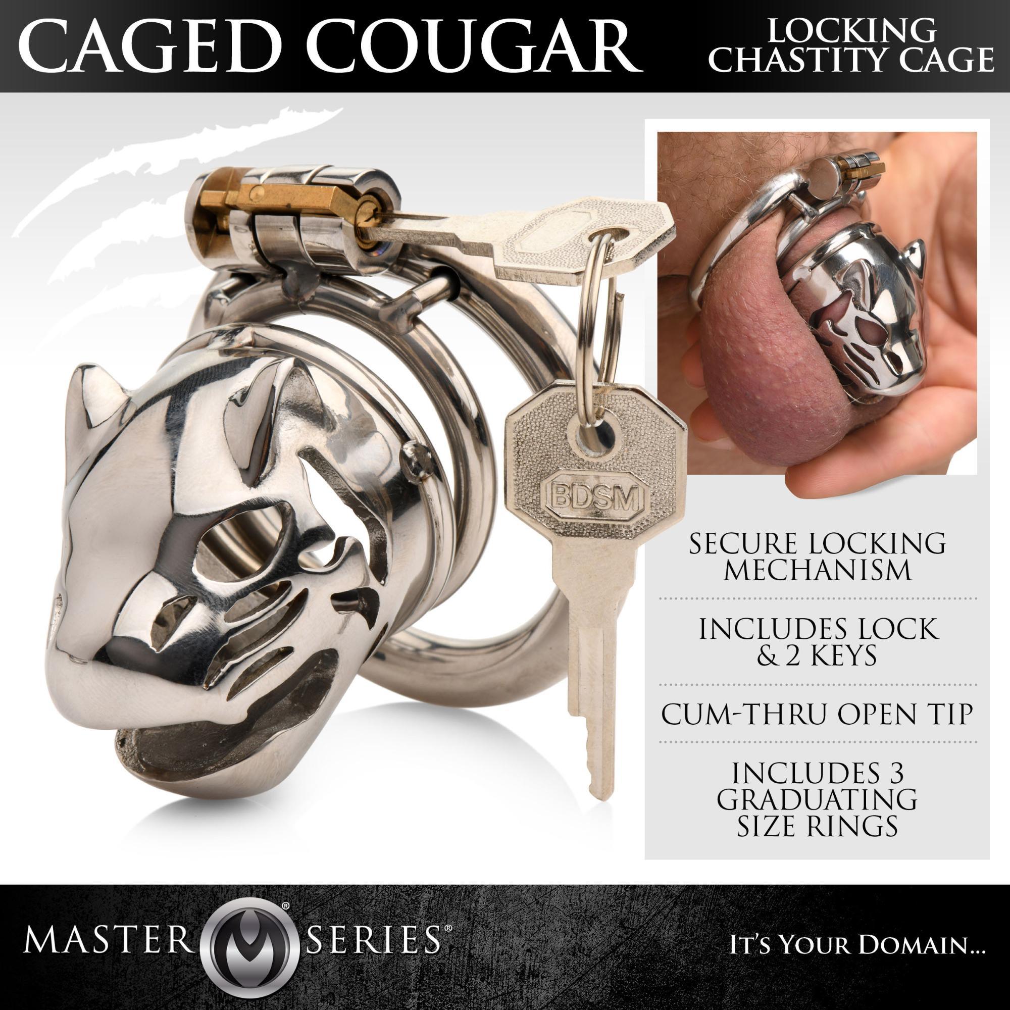 Master Series Caged Cougar Stainless Steel Locking Chastity Cage - Buy At Luxury Toy X - Free 3-Day Shipping