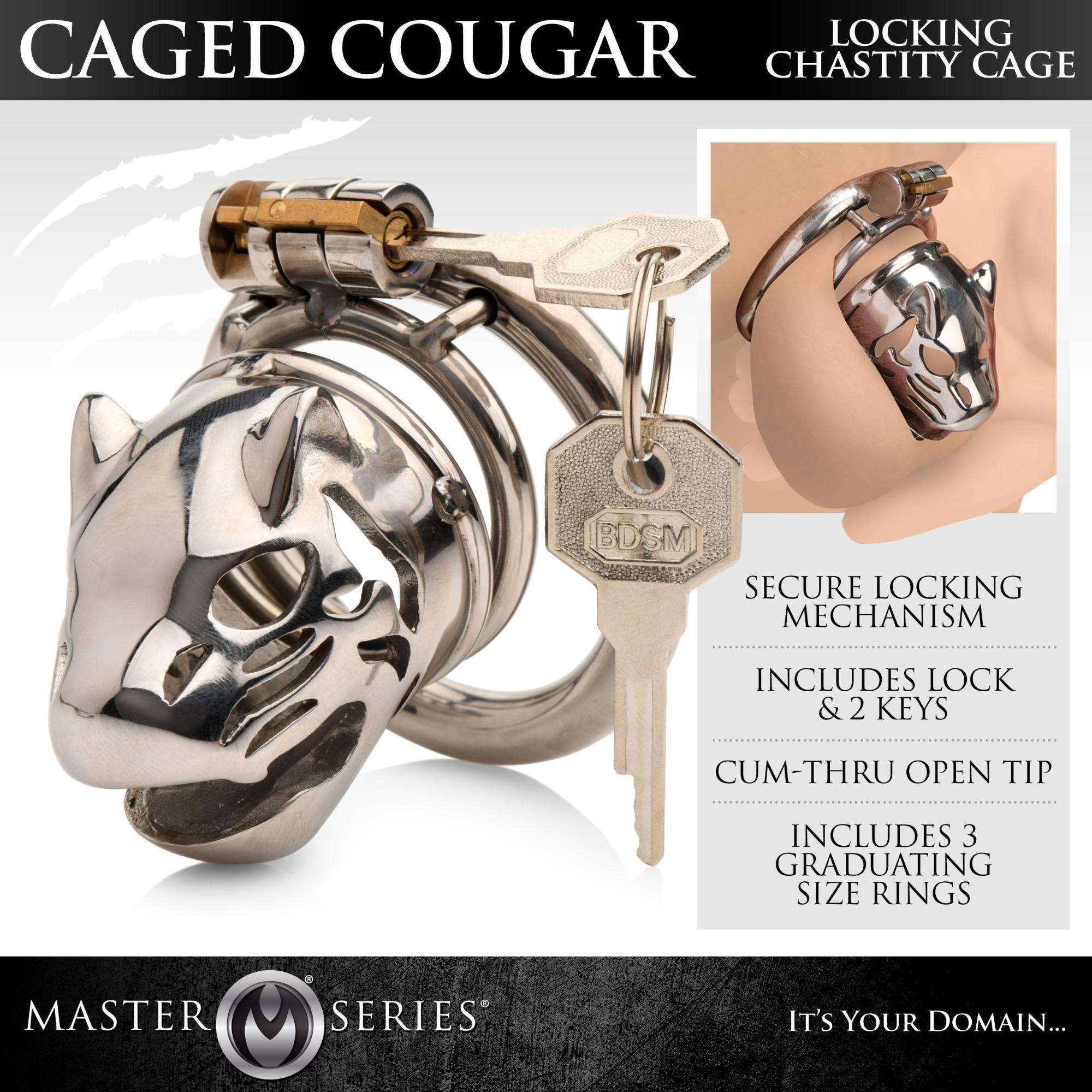Master Series Caged Cougar Stainless Steel Locking Chastity Cage - Buy At Luxury Toy X - Free 3-Day Shipping