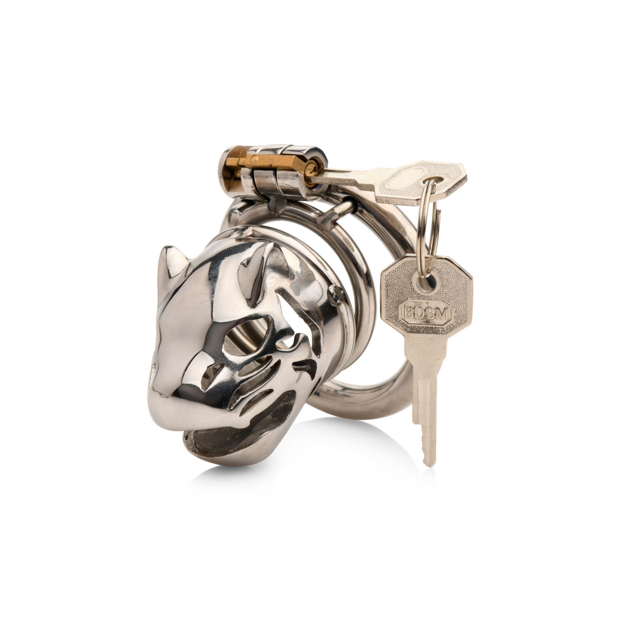 Master Series Caged Cougar Stainless Steel Locking Chastity Cage - Buy At Luxury Toy X - Free 3-Day Shipping