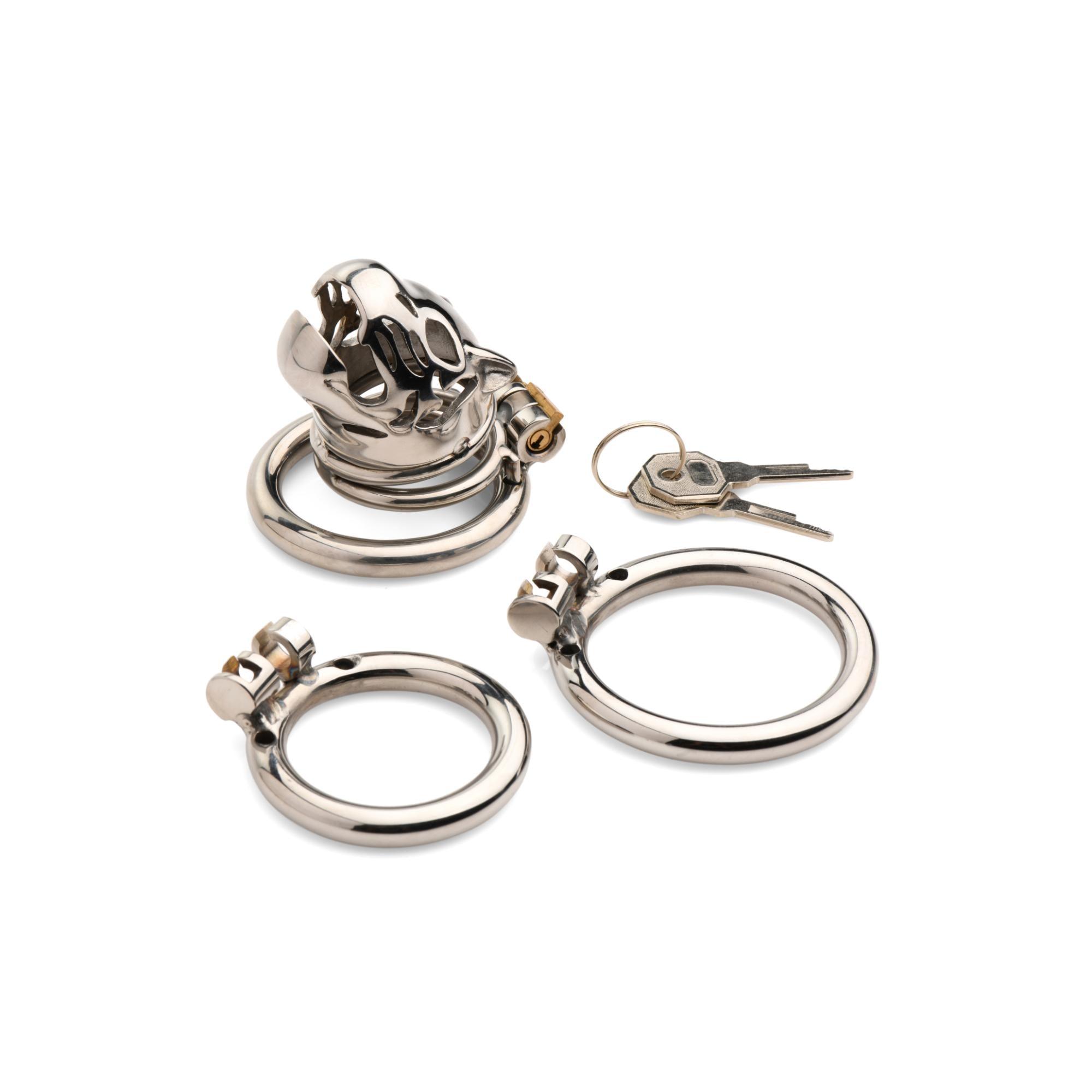 Master Series Caged Cougar Stainless Steel Locking Chastity Cage - Buy At Luxury Toy X - Free 3-Day Shipping