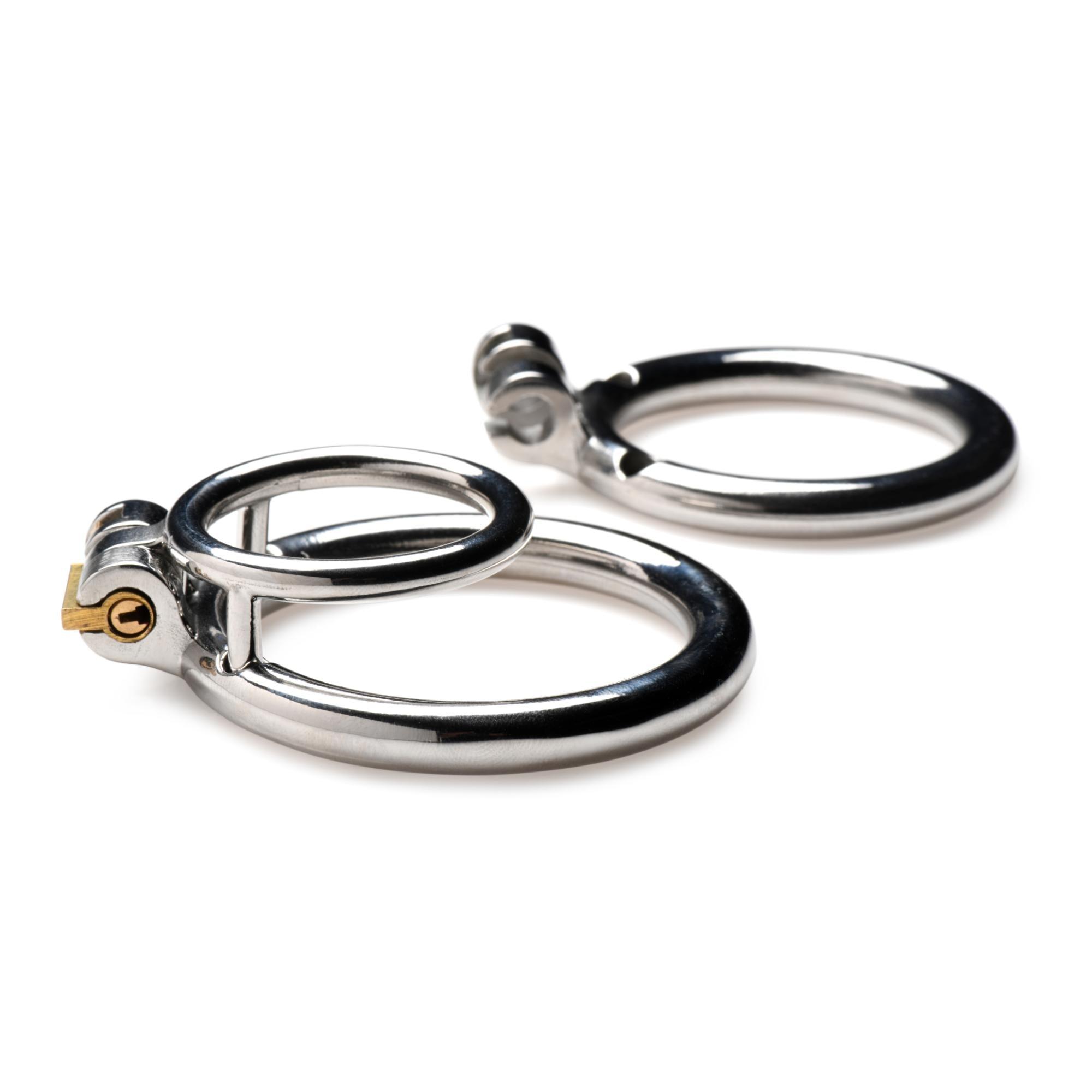 Master Series Locked Cock Stainless Steel Locking Cock & Ball Ring - Buy At Luxury Toy X - Free 3-Day Shipping